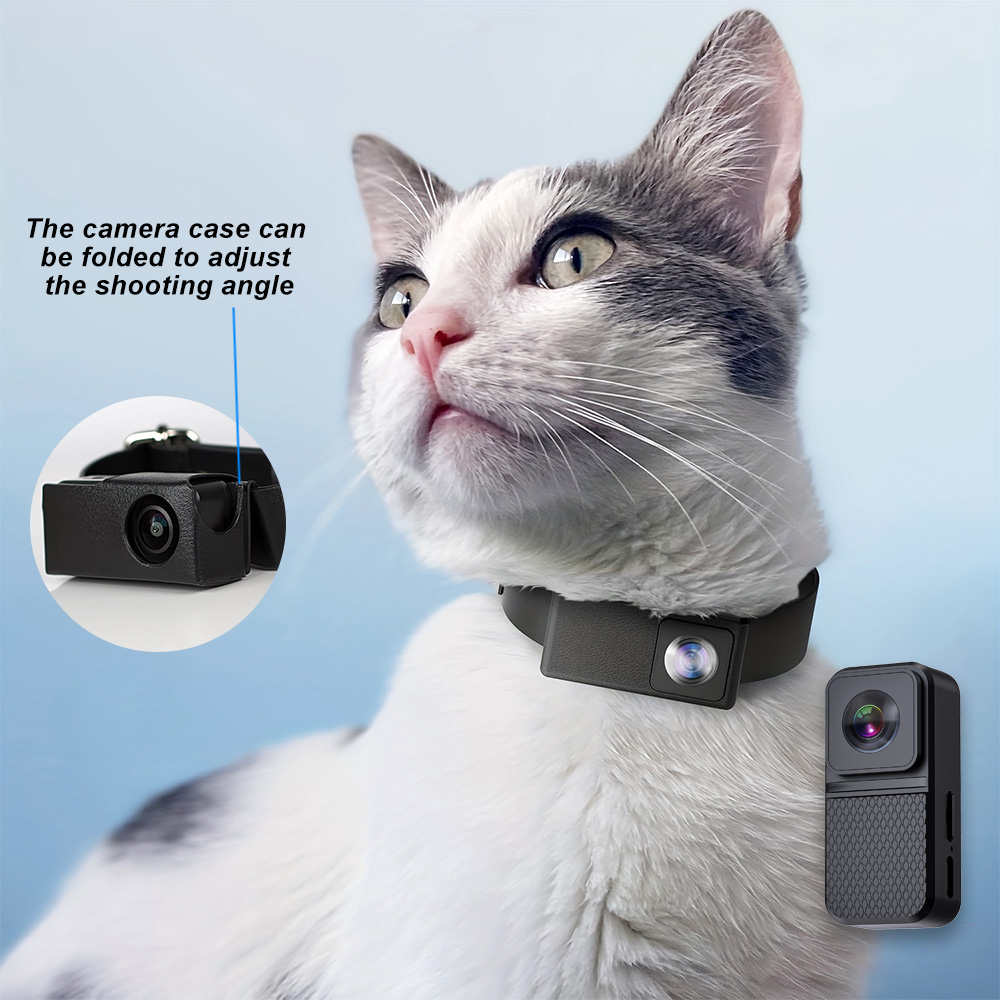 กล้องสัตว์เลี้ยง HD 1080P สำหร - Home Cinema Hd บทวิจารณ์และราคา