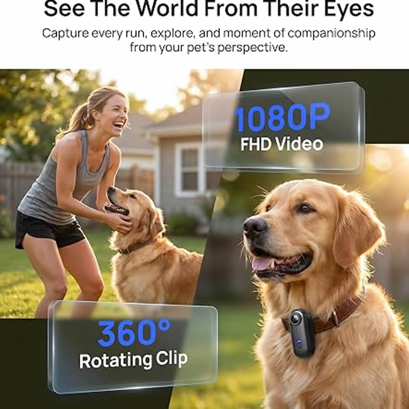 กล้องสำหรับสัตว์เลี้ยง 1080P H - Home Cinema Hd บทวิจารณ์และราคา