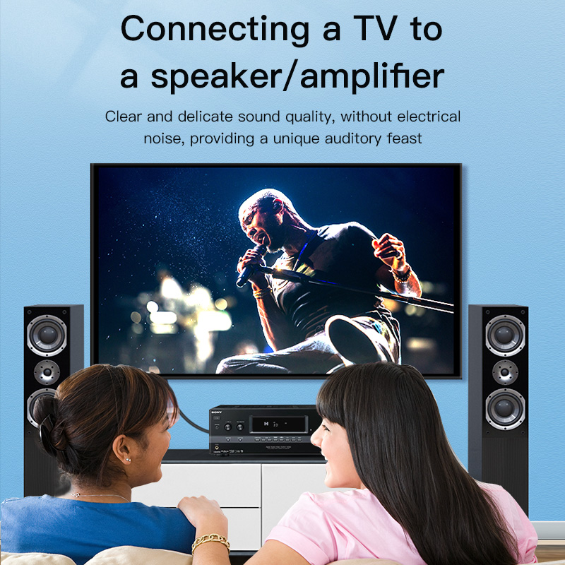 CHOSEAL สาย RCA สายสัญญาณเสียง - Home Cinema Ampli บทวิจารณ์และราคา